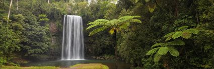 Milla Milla Falls - QLD (PBH4 00 16926)